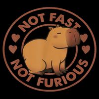 Not Fast Not Furious Capybara T-Shirt