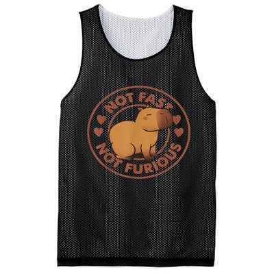 Not Fast Not Furious Capybara Mesh Reversible Basketball Jersey Tank