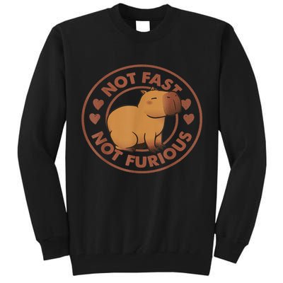 Not Fast Not Furious Capybara Tall Sweatshirt