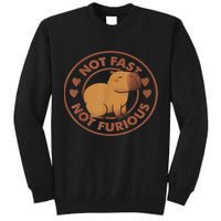 Not Fast Not Furious Capybara Tall Sweatshirt