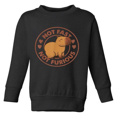 Not Fast Not Furious Capybara Toddler Sweatshirt