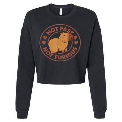 Not Fast Not Furious Capybara Cropped Pullover Crew