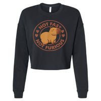 Not Fast Not Furious Capybara Cropped Pullover Crew