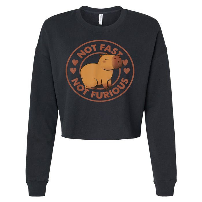 Not Fast Not Furious Capybara Cropped Pullover Crew