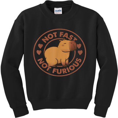 Not Fast Not Furious Capybara Kids Sweatshirt