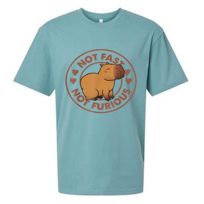Not Fast Not Furious Capybara Sueded Cloud Jersey T-Shirt