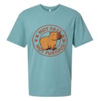 Not Fast Not Furious Capybara Sueded Cloud Jersey T-Shirt