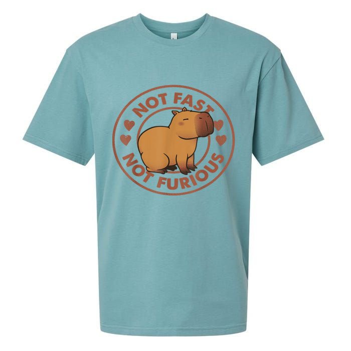 Not Fast Not Furious Capybara Sueded Cloud Jersey T-Shirt