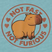 Not Fast Not Furious Capybara Sueded Cloud Jersey T-Shirt