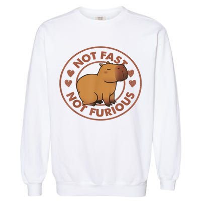 Not Fast Not Furious Capybara Garment-Dyed Sweatshirt