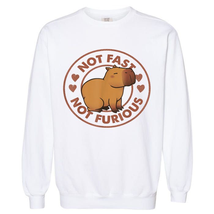 Not Fast Not Furious Capybara Garment-Dyed Sweatshirt