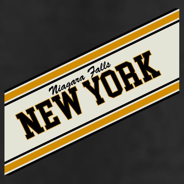 Niagara Falls New York Varsity Logo 11oz C Handle Ceramic Mug