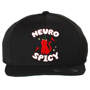 Neurospicy Funny Neurodivergent Adhd Asd Autism Cat Lover Wool Snapback Cap