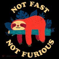 Not Fast Not Furious Dinomike Design Sweatshirt