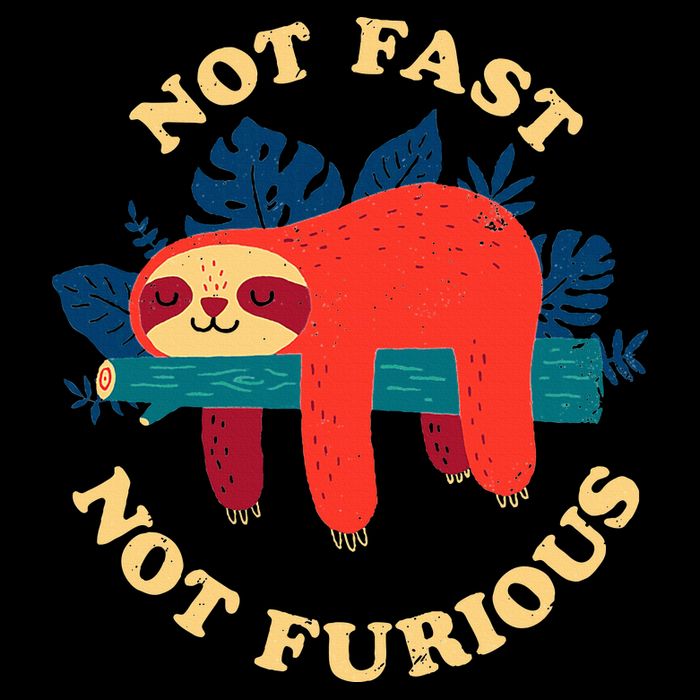 Not Fast Not Furious Dinomike Design 16 in Basic Backpack