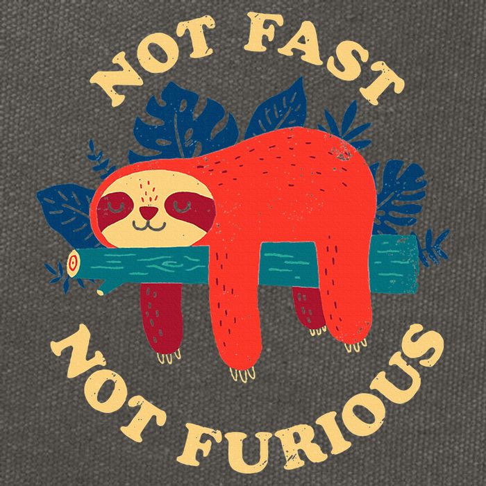 Not Fast Not Furious Dinomike Design Cotton Canvas Backpack