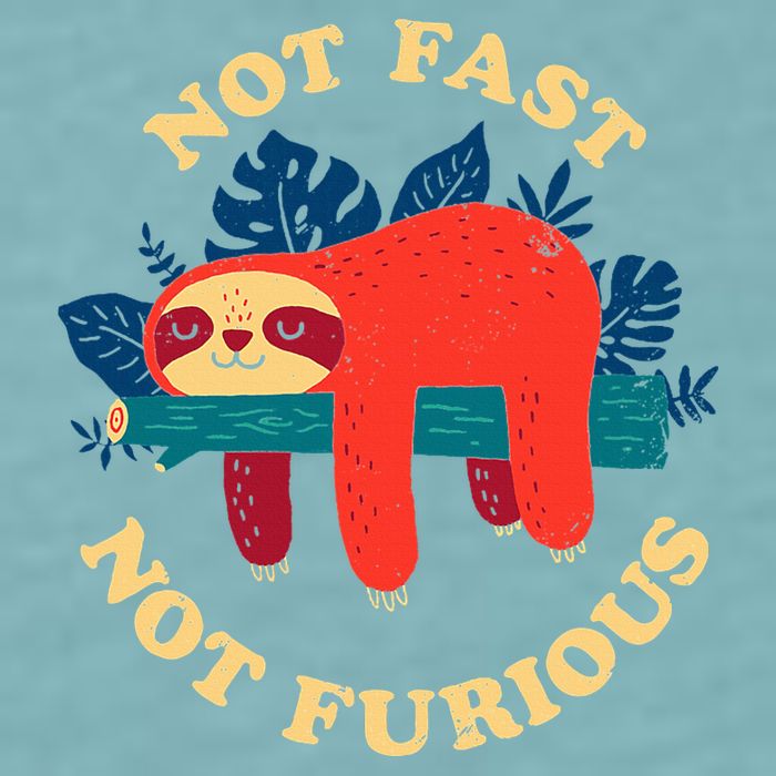 Not Fast Not Furious Dinomike Design Sueded Cloud Jersey T-Shirt