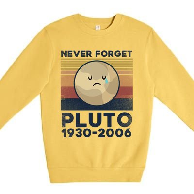 Never Forget Pluto Vintage Gift Premium Crewneck Sweatshirt