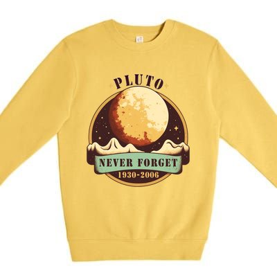 Never Forget Pluto Cute Gift Retro Style Funny Space Science Gift Premium Crewneck Sweatshirt