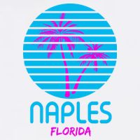 Naples Florida Retro Palm Tree Sunset Kids Hoodie