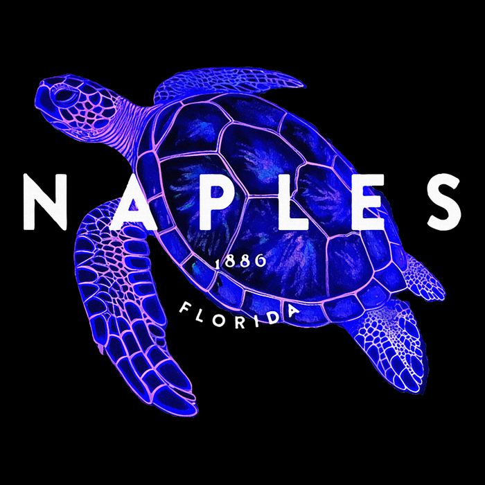 Naples Florida Sea Turtle Scuba Dive Retro Vacation Beach Cooling Performance Crew T-Shirt