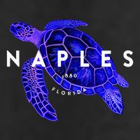 Naples Florida Sea Turtle Scuba Dive Retro Vacation Beach Adult Drive Performance Visor