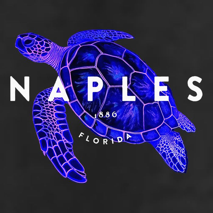 Naples Florida Sea Turtle Scuba Dive Retro Vacation Beach Adult Drive Performance Visor