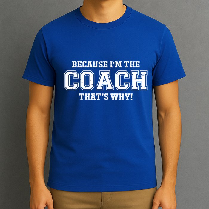 Novelty For Sports Coaches Hooded Great Gift T-Shirt