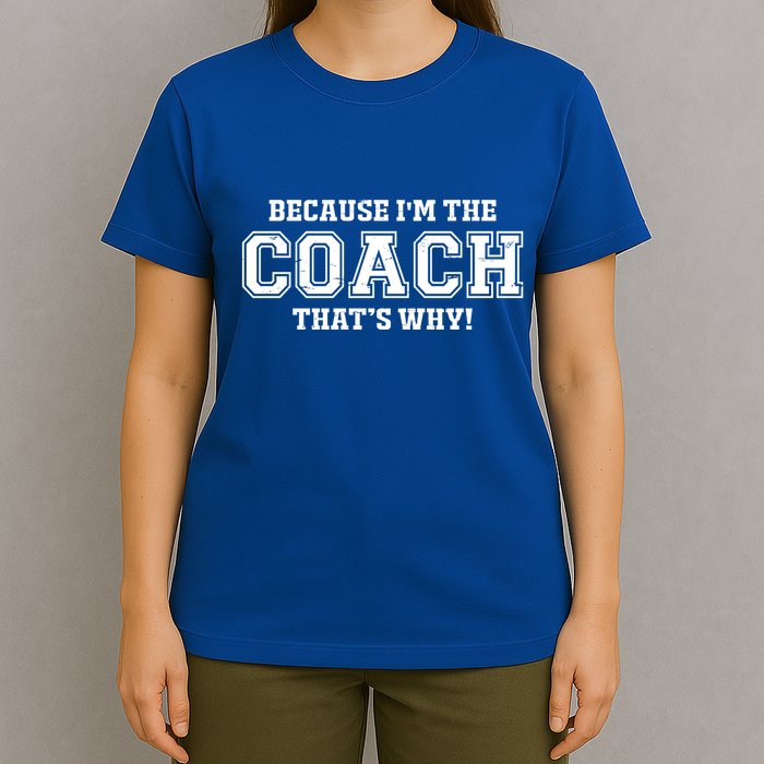 Novelty For Sports Coaches Hooded Great Gift T-Shirt