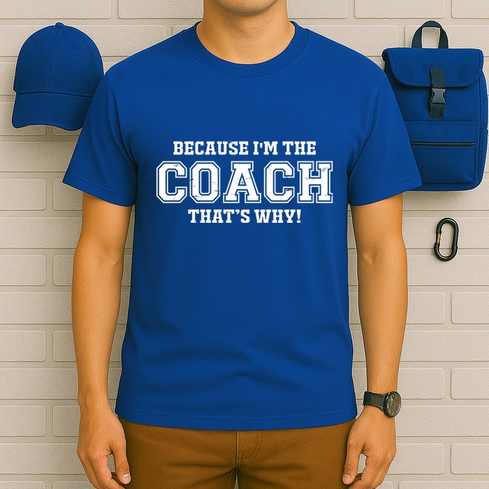 Novelty For Sports Coaches Hooded Great Gift T-Shirt