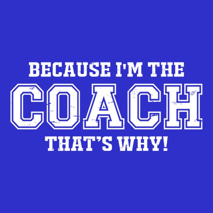 Novelty For Sports Coaches Hooded Great Gift T-Shirt