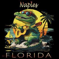 Naples Florida Vacation Cute Alligator Sunset Souvenir Tall T-Shirt