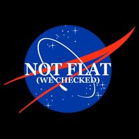 Not Flat We Checked Nasa Anti Flat Earth USA-Made Doggie Bandana