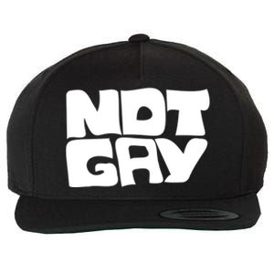 Not Gay But I Love You Straight Hetero Meaningful Gift Wool Snapback Cap