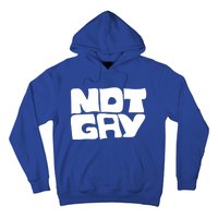 Not Gay But I Love You Straight Hetero Meaningful Gift Hoodie