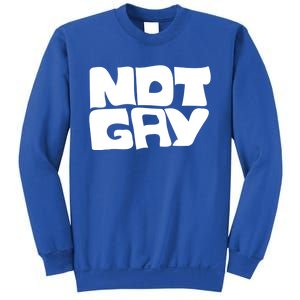 Not Gay But I Love You Straight Hetero Meaningful Gift Sweatshirt