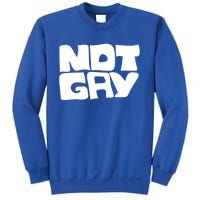 Not Gay But I Love You Straight Hetero Meaningful Gift Sweatshirt