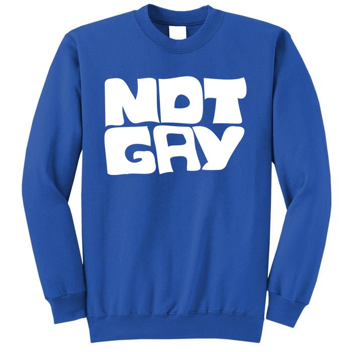 Not Gay But I Love You Straight Hetero Meaningful Gift Sweatshirt