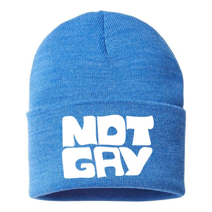 Not Gay But I Love You Straight Hetero Meaningful Gift Sustainable Knit Beanie