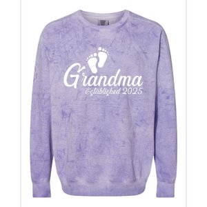 New Grandma Established 2025 Family Colorblast Crewneck Sweatshirt