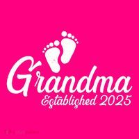 New Grandma Established 2025 Family T-Shirt
