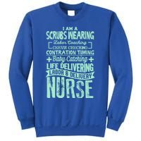 Nurse Gifgift Graduating School Rn Labor Delivery Nurse Gift Sweatshirt