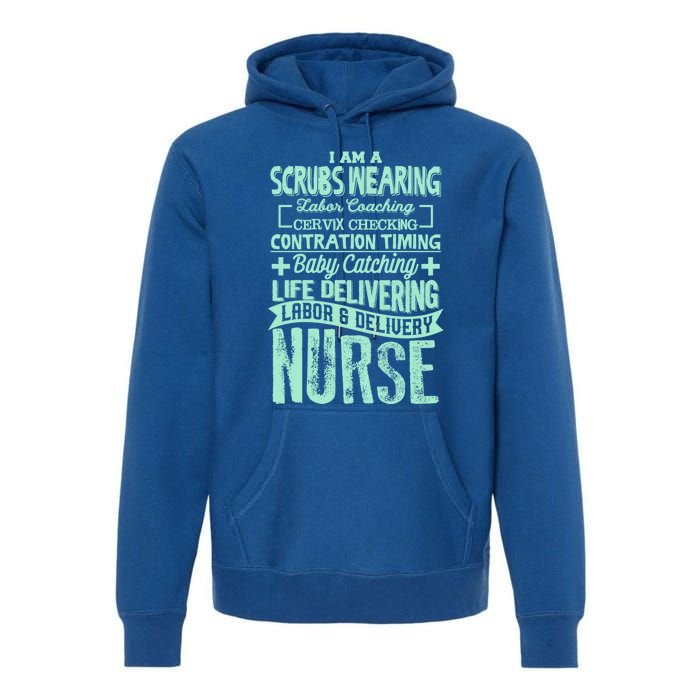 Nurse Gifgift Graduating School Rn Labor Delivery Nurse Gift Premium Hoodie