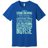 Nurse Gifgift Graduating School Rn Labor Delivery Nurse Gift Premium T-Shirt