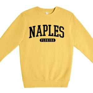 Naples Great Gift Cool Gift College University Florida Usa Premium Crewneck Sweatshirt