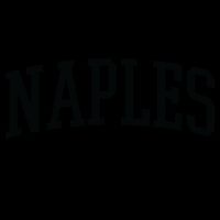 Naples Great Gift Cool Gift College University Florida Usa Mug