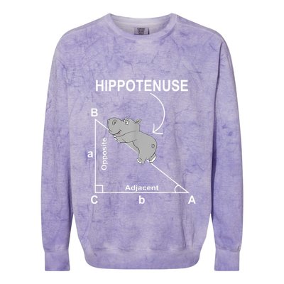 Nerd Geometry Hippotenuse Hypotenuse Funny Colorblast Crewneck Sweatshirt