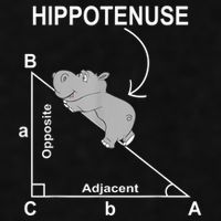 Nerd Geometry Hippotenuse Hypotenuse Funny Ladies PosiCharge Tri-Blend Wicking Tank