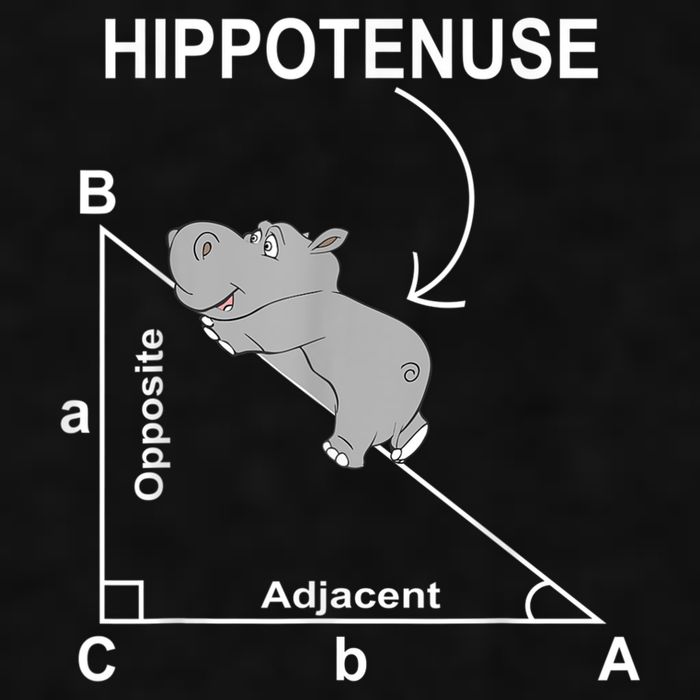 Nerd Geometry Hippotenuse Hypotenuse Funny Ladies PosiCharge Tri-Blend Wicking Tank