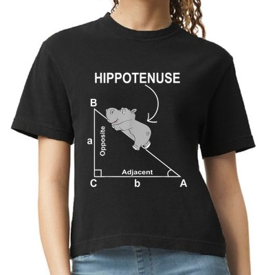 Nerd Geometry Hippotenuse Hypotenuse Funny Comfort Colors Boxy T-Shirt